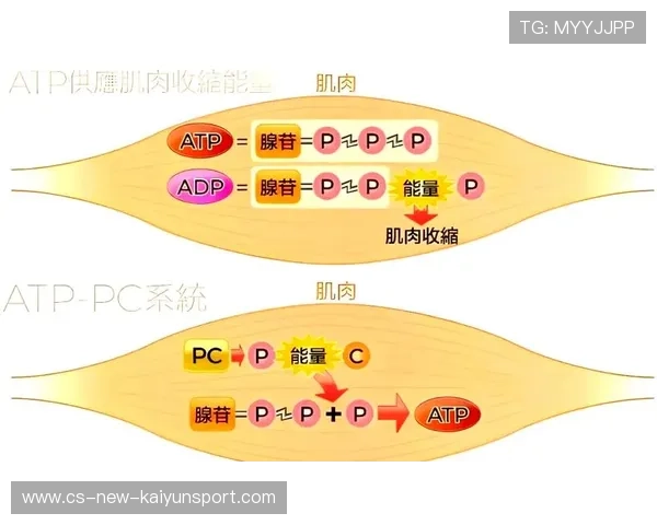 2026 热门运动营养品调查：肌酸的长期副作用研究更新。，肌酸对健身有什么作用